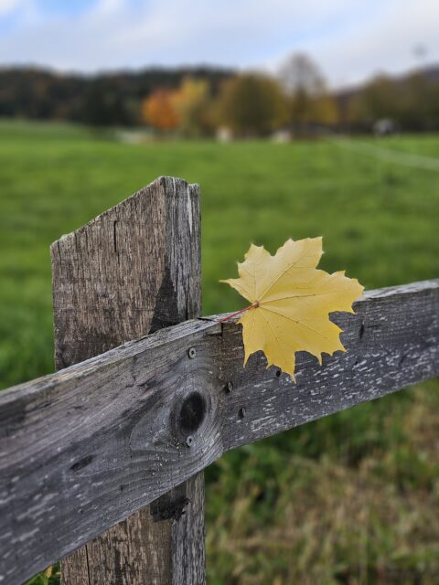 Aktualne novice iz sveta turizma Šaleške, 24. 10. 2025