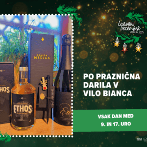 Po praznična darila v Vilo Bianca