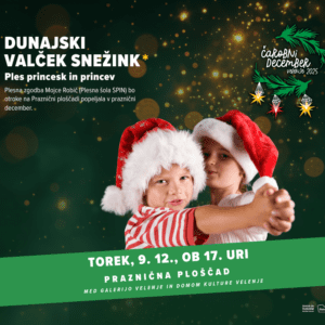 Dunajski valček snežink – Ples princesk in princev