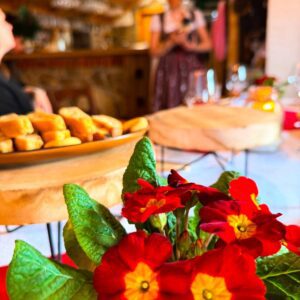 Okusi Šaleške na terenu