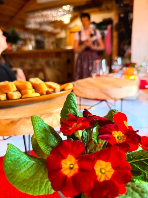 Okusi Šaleške na terenu