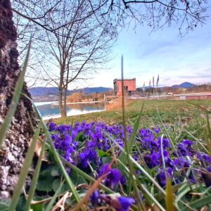 Kam ta konec tedna v Šaleški?