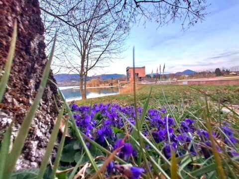 Kam ta konec tedna v Šaleški?